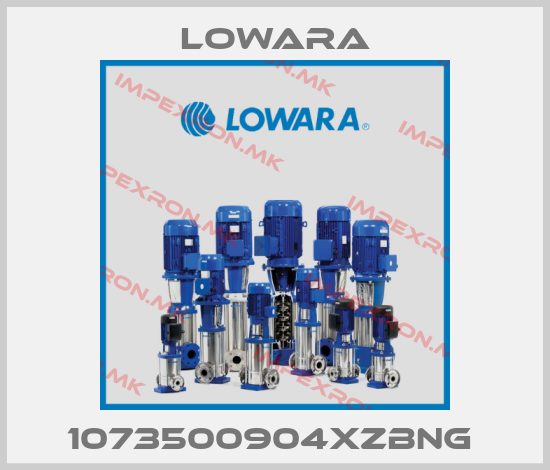 Lowara-1073500904XZBNG price
