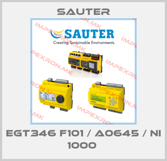 Sauter-EGT346 F101 / A0645 / NI 1000 price