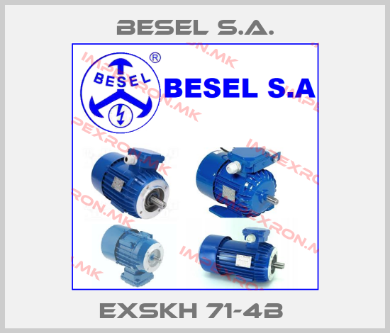 BESEL S.A. Europe