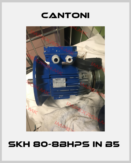 Cantoni-SKh 80-8BHPS in B5 price