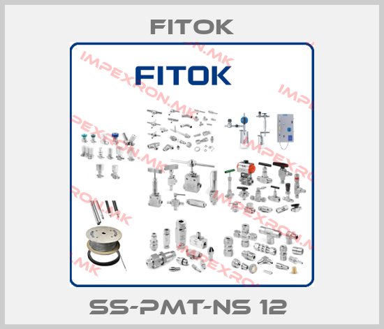 Fitok-SS-PMT-NS 12 price