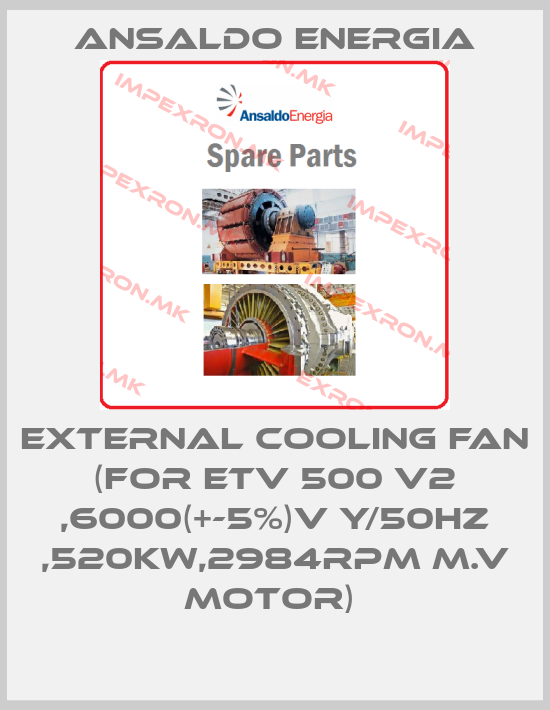 ANSALDO ENERGIA-EXTERNAL COOLING FAN (FOR ETV 500 V2 ,6000(+-5%)V Y/50HZ ,520KW,2984RPM M.V MOTOR) price
