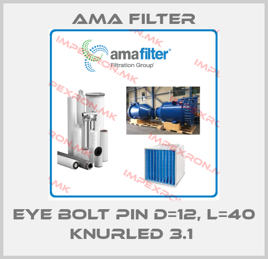 Ama Filter-EYE BOLT PIN D=12, L=40 KNURLED 3.1 price