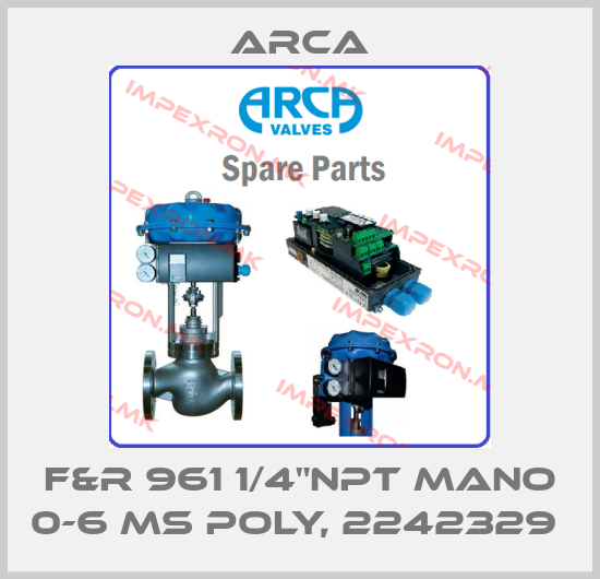 ARCA-F&R 961 1/4"NPT Mano 0-6 MS Poly, 2242329 price