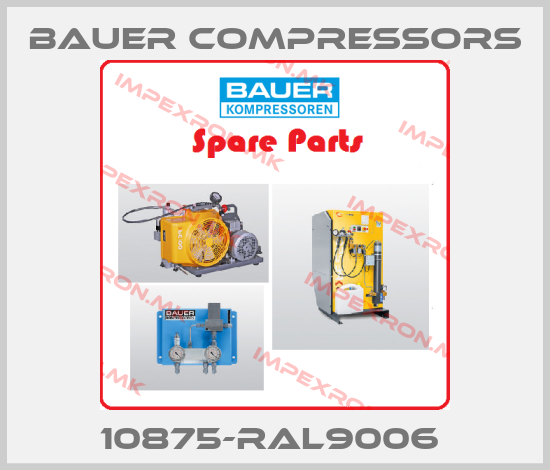 Bauer Compressors-10875-RAL9006 price