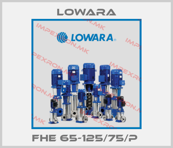 Lowara-FHE 65-125/75/P price