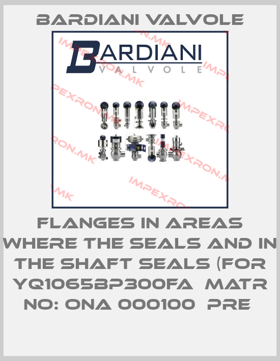 Bardiani Valvole-FLANGES IN AREAS WHERE THE SEALS AND IN THE SHAFT SEALS (FOR YQ1065BP300FA  MATR NO: ONA 000100  PRE price