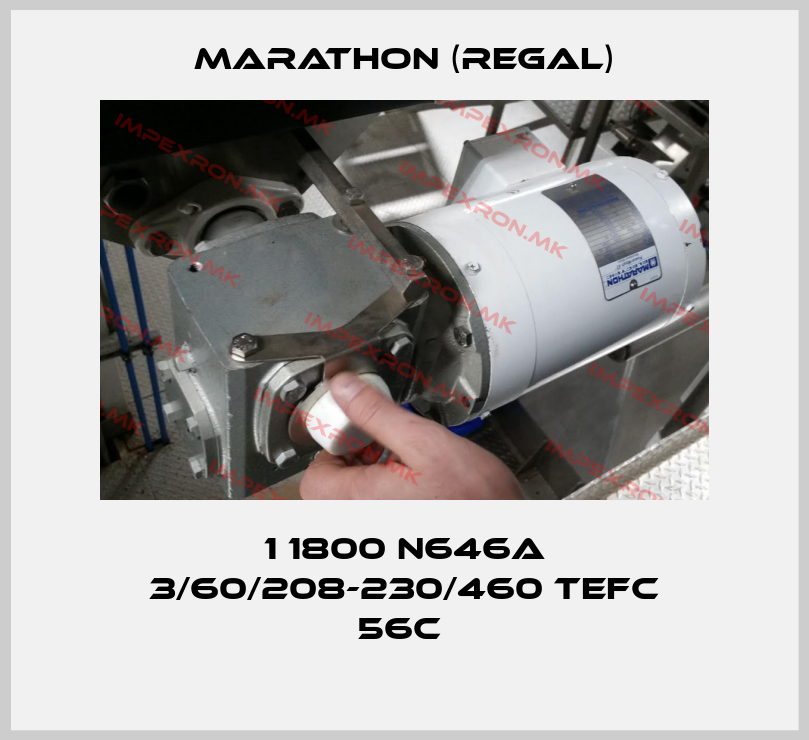Marathon (Regal)-1 1800 N646A 3/60/208-230/460 TEFC 56C price