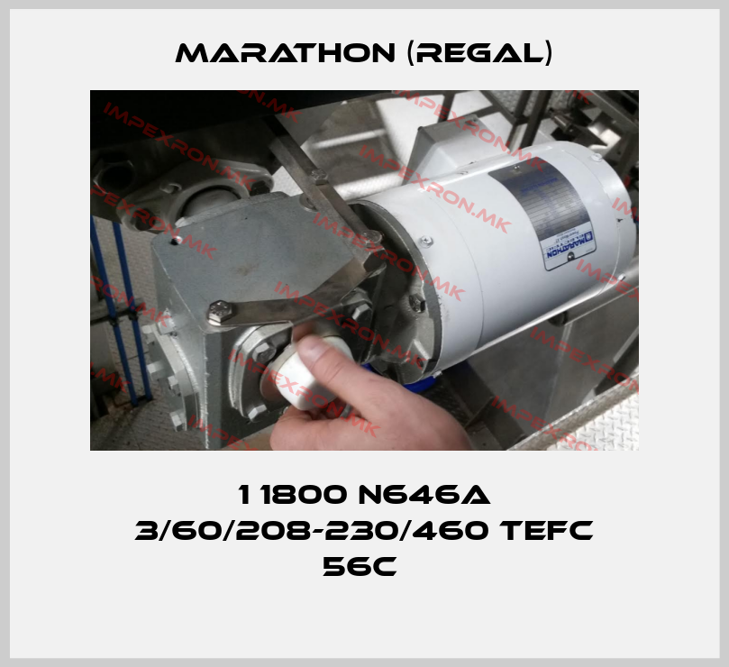 Marathon (Regal) Europe