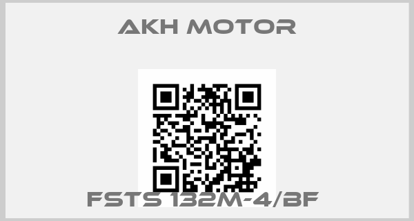 AKH Motor-FSTS 132M-4/BF price