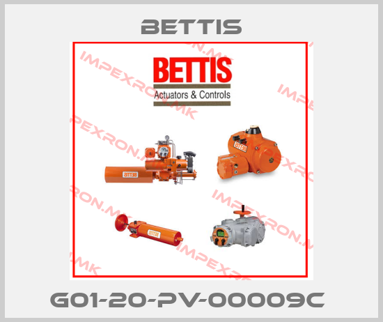 Bettis-G01-20-PV-00009C price