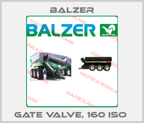 Balzer-GATE VALVE, 160 ISO price