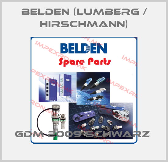 Belden (Lumberg / Hirschmann) Europe