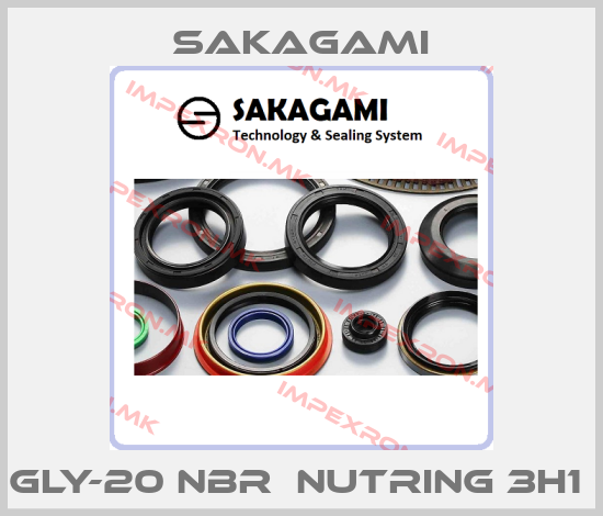 Sakagami-GLY-20 NBR  NUTRING 3H1 price