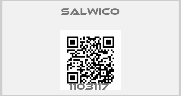 Salwico-1103117 price