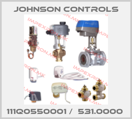 Johnson Controls-111Q0550001 /  531.0000 price