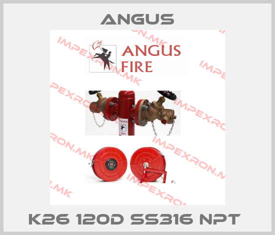 Angus-K26 120D SS316 NPT price