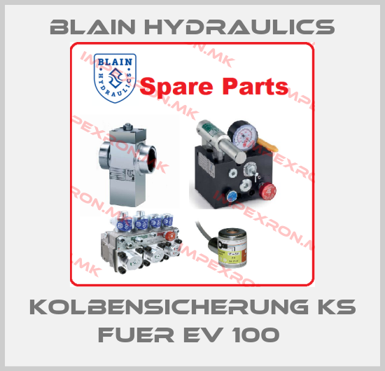 Blain Hydraulics-Kolbensicherung KS fuer EV 100 price