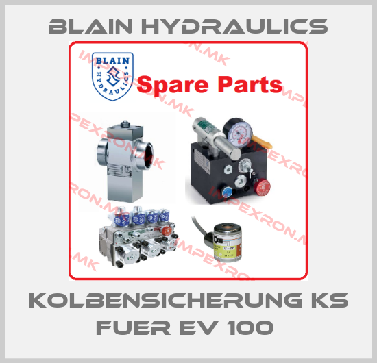 Blain Hydraulics Europe