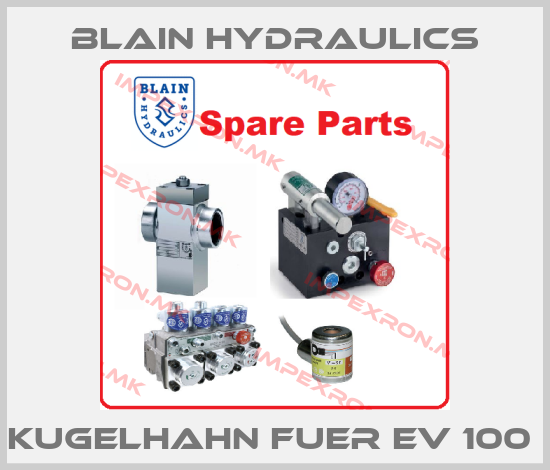 Blain Hydraulics-Kugelhahn fuer EV 100 price
