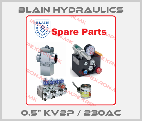 Blain Hydraulics Europe