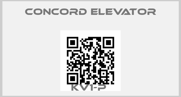 Concord Elevator Europe