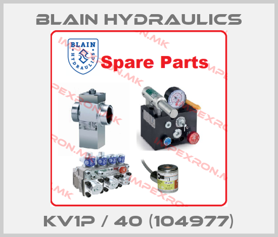 Blain Hydraulics Europe