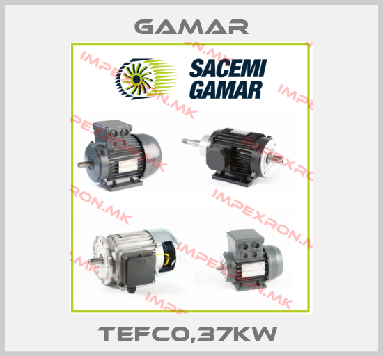 Gamar-TEFC0,37kW price