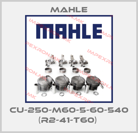 MAHLE-CU-250-M60-5-60-540 (R2-41-T60) price