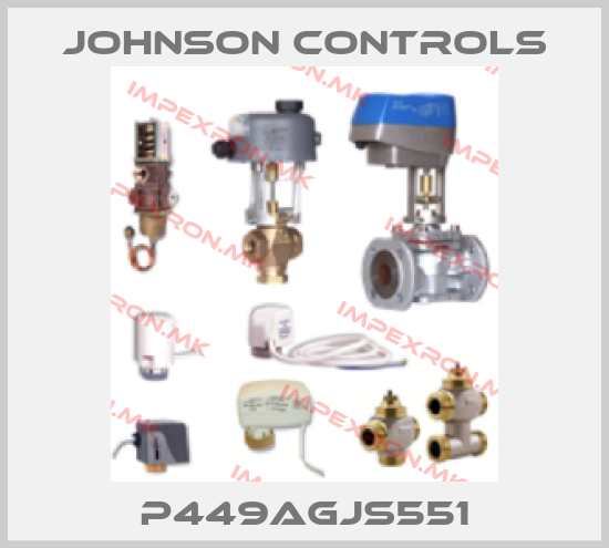 Johnson Controls-P449AGJS551price