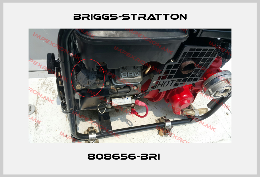 Briggs-Stratton-808656-BRI    price