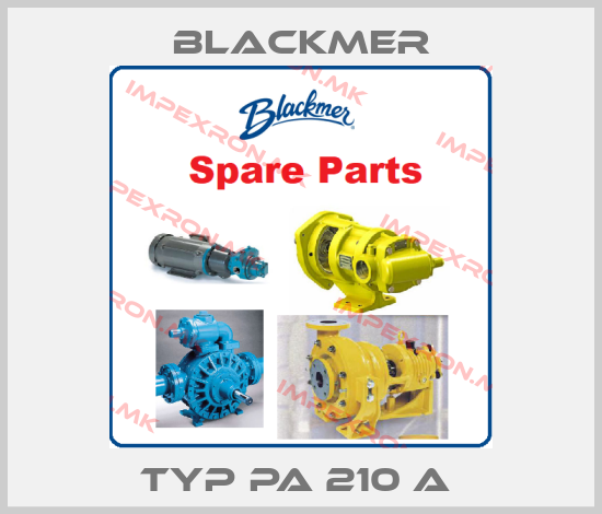 Blackmer-Typ PA 210 A price