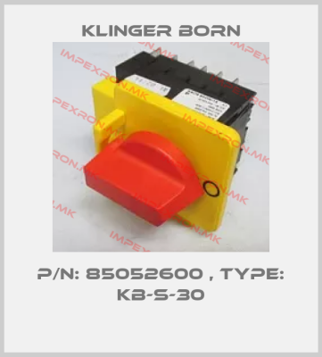 Klinger Born Europe