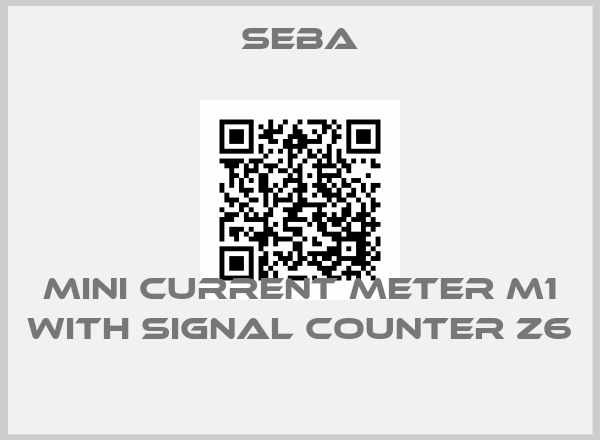 SEBA-Mini current meter M1 with Signal counter Z6 price