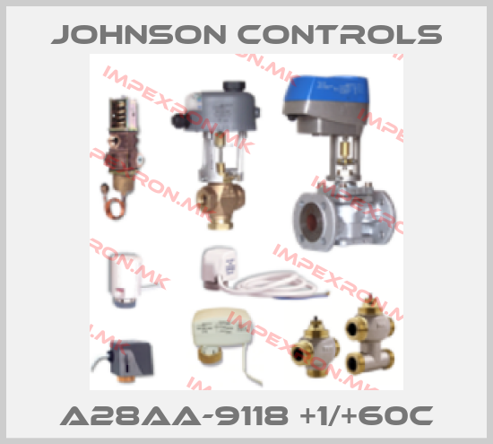 Johnson Controls-A28AA-9118 +1/+60Cprice