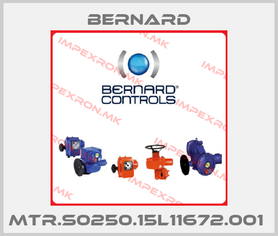 Bernard-MTR.S0250.15L11672.001 price