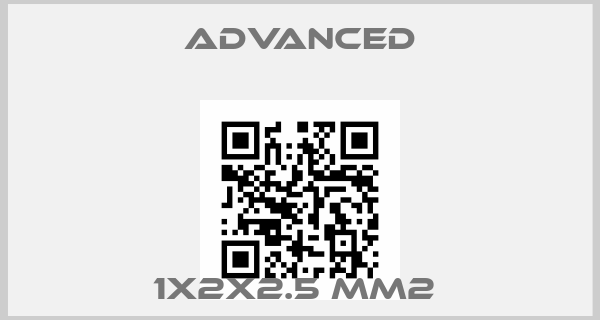 Advanced-1X2X2.5 mm2 price