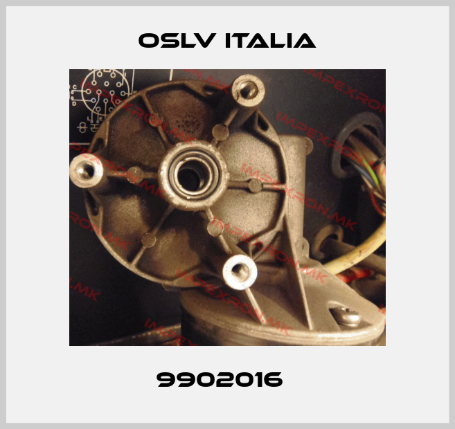 OSLV Italia-9902016  price