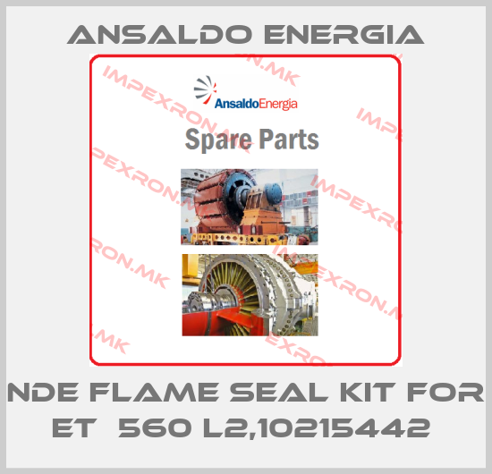 ANSALDO ENERGIA-NDE flame seal kit for ET‐560 L2,10215442 price
