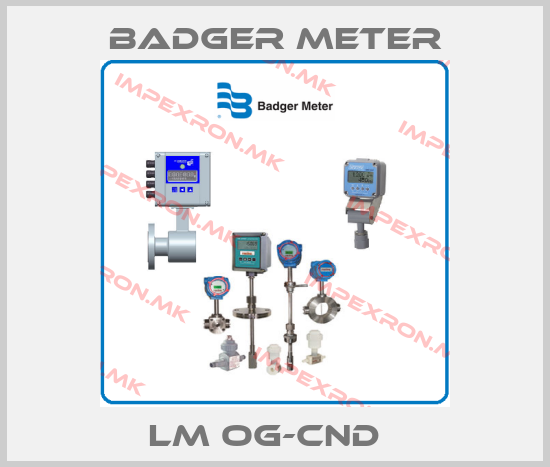 Badger Meter-LM OG-CND  price