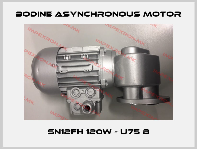 BODINE Asynchronous motor-SN12FH 120W - U75 Bprice