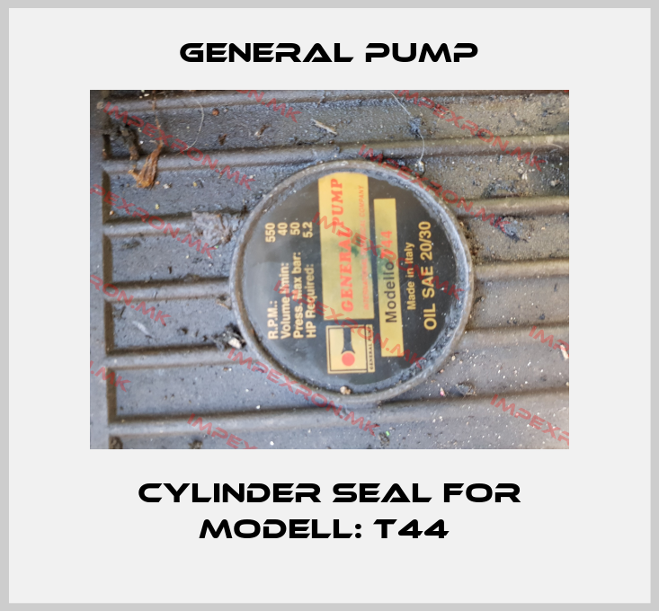 General Pump-cylinder seal for Modell: T44 price