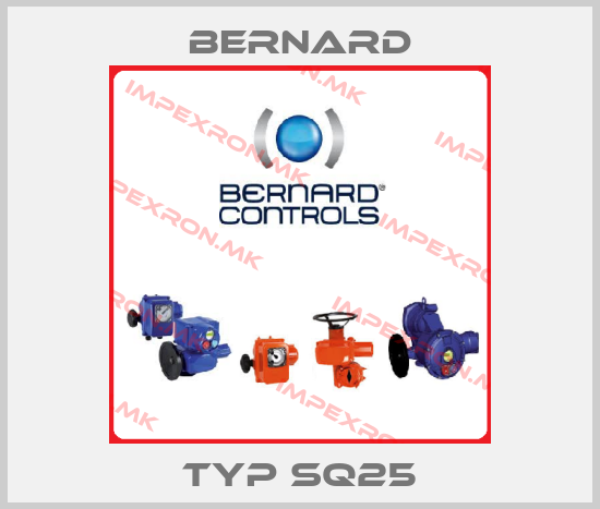 Bernard-Typ SQ25price