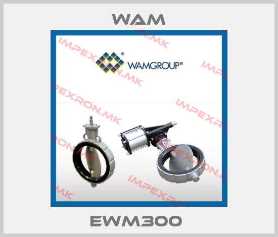 Wam-EWM300 price