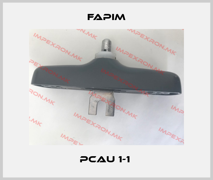 Fapim-PCAU 1-1 price