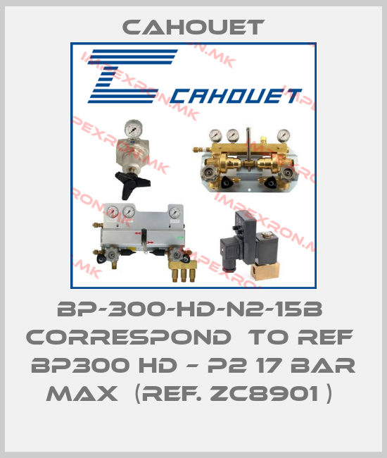 Cahouet-BP-300-HD-N2-15B  correspond  to ref  BP300 HD – P2 17 bar max  (ref. ZC8901 ) price