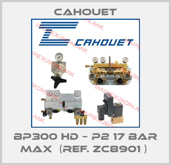 Cahouet- BP300 HD – P2 17 bar max  (ref. ZC8901 ) price