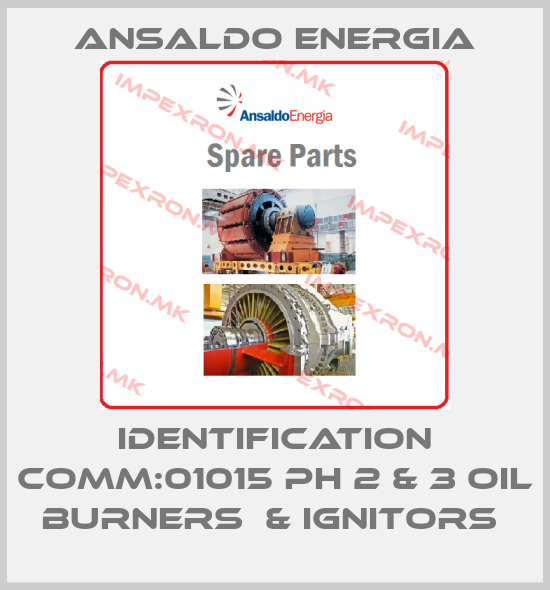 ANSALDO ENERGIA-IDENTIFICATION COMM:01015 Ph 2 & 3 oil burners  & ignitors price