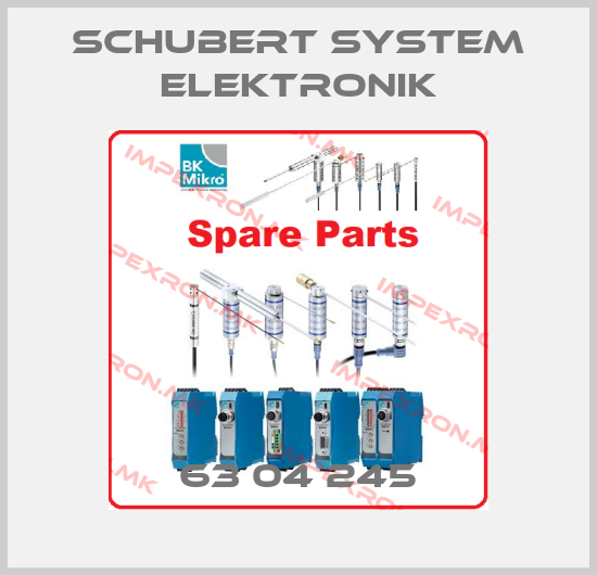 Schubert System Elektronik Europe