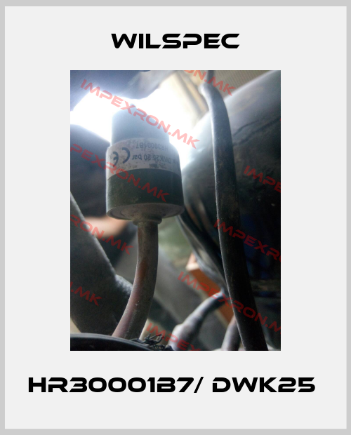 Wilspec-HR30001B7/ DWK25 price
